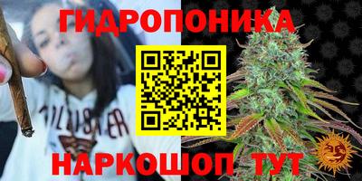 амф Кулебаки