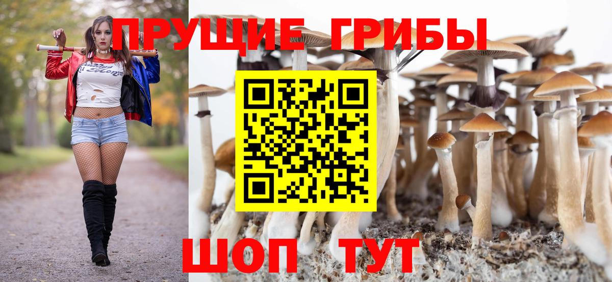 Псилоцибиновые грибы мицелий Елец