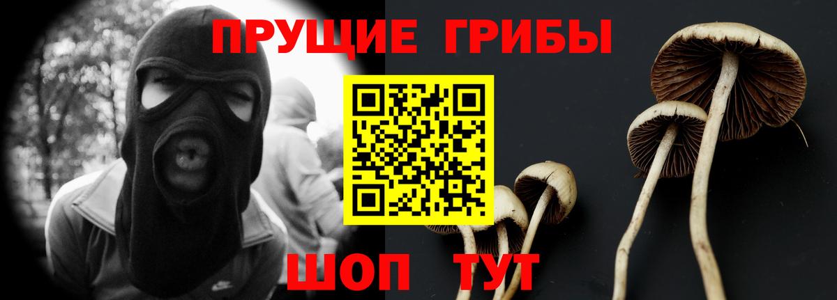 наркота  Псилоцибиновые грибы мицелий  Елец  Псилоцибиновые грибы Psilocybe 